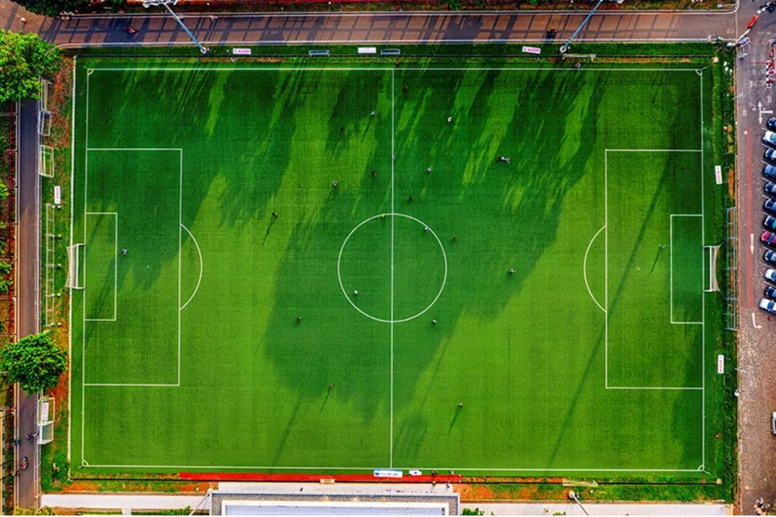 Artificial Turf